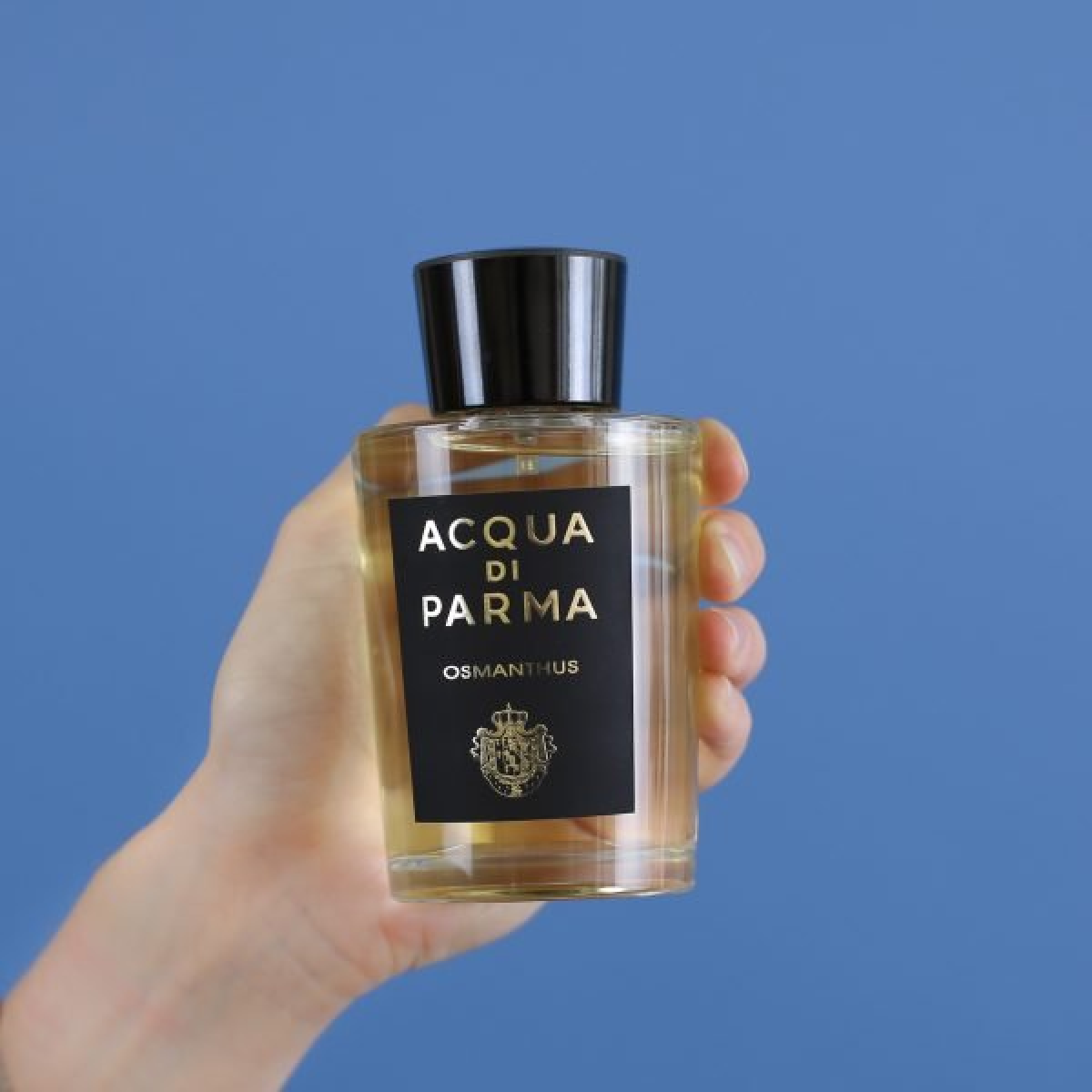 Acqua Di Parma Osmanthus Hair Mist 50ml
