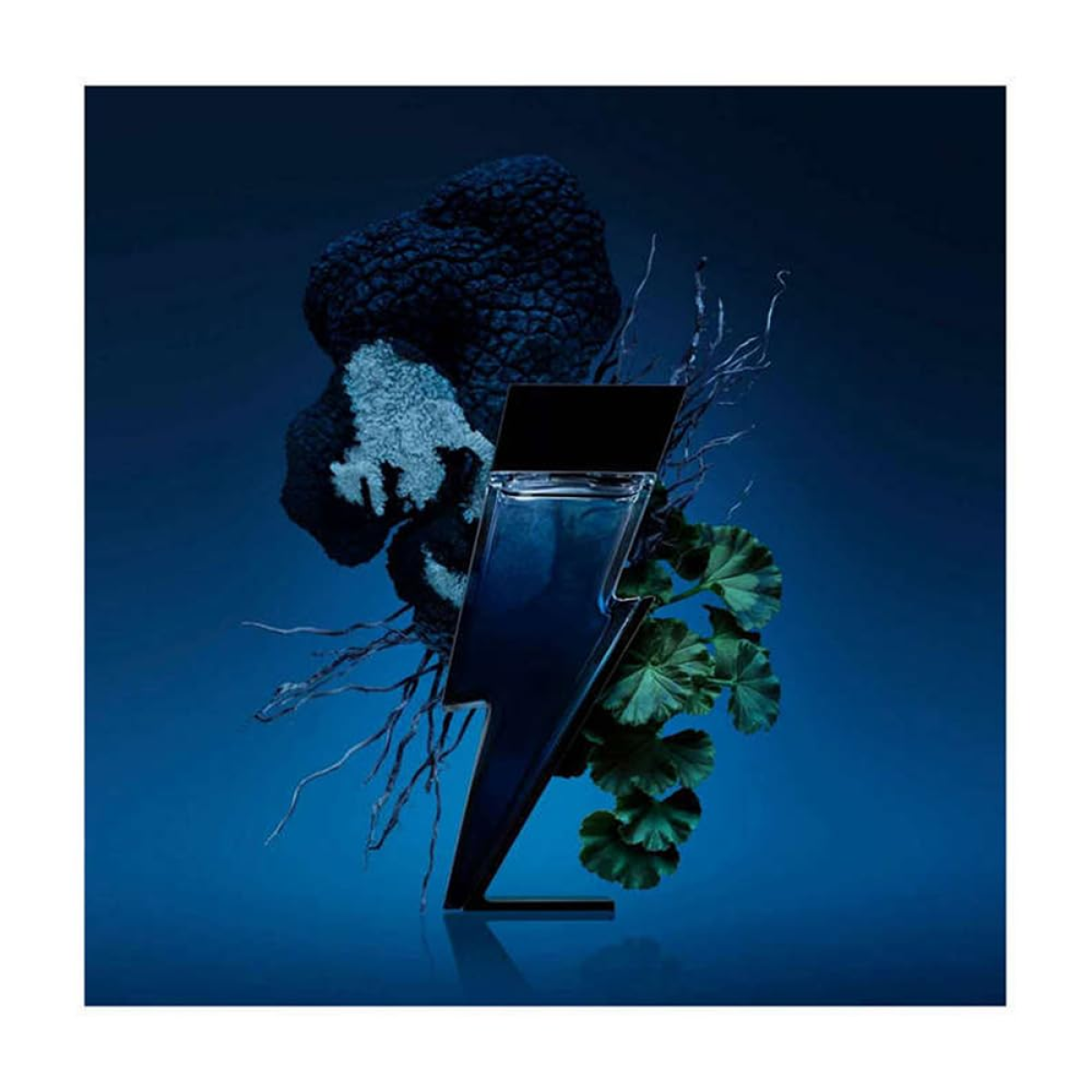 Carolina Herrera Bad Boy Cobalt Eau de Parfum Spray 100ml – HTML Format