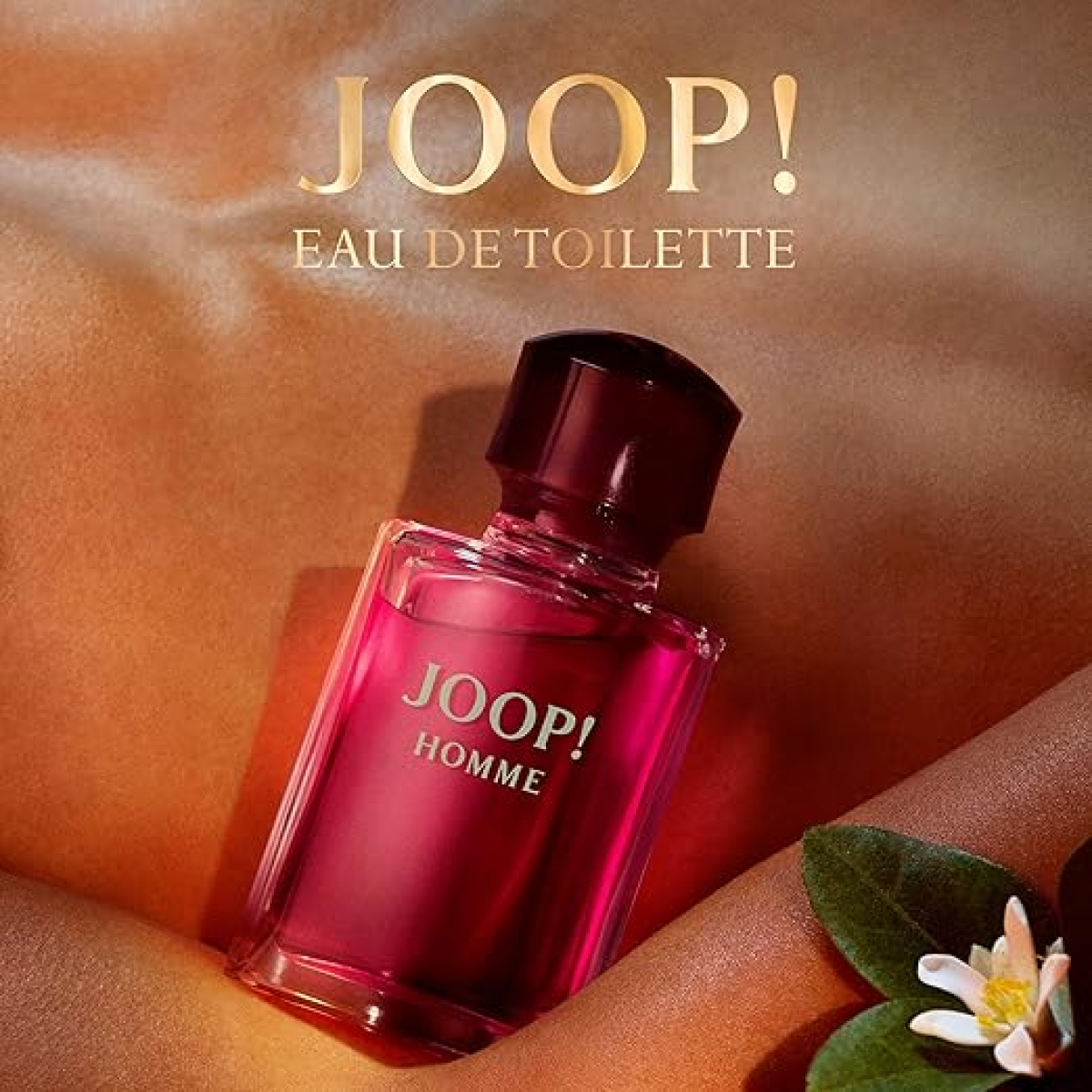 JOOP! Homme Eau de Toilette Spray 75ml for Men – Fresh, Signature Scent