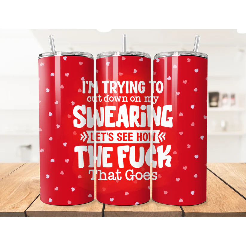 Cheeky Swearing tumbler (not for kids)