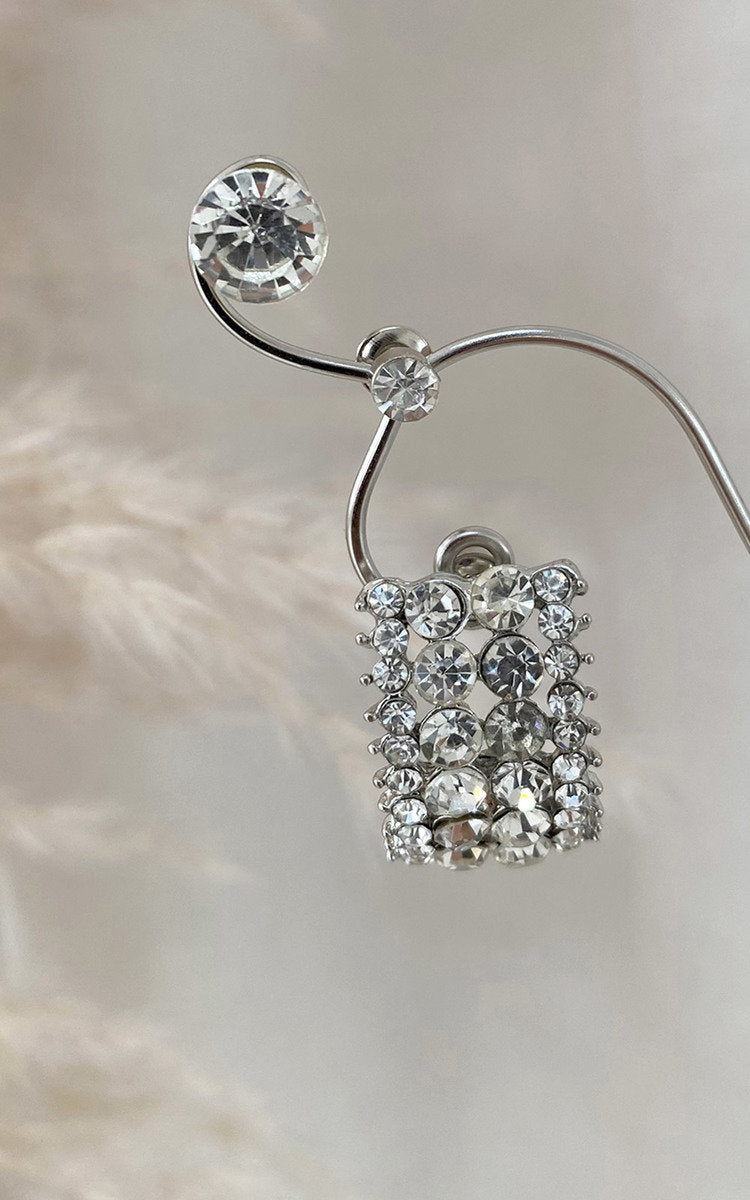 (F) Embellished Earrings