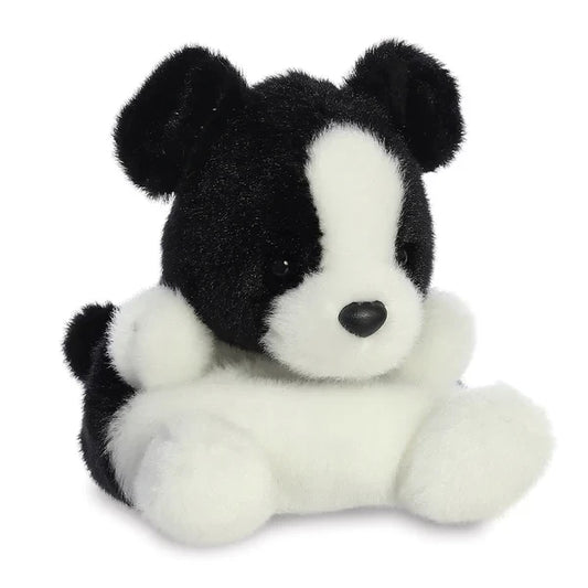 (B) Border Collie Palm Pal