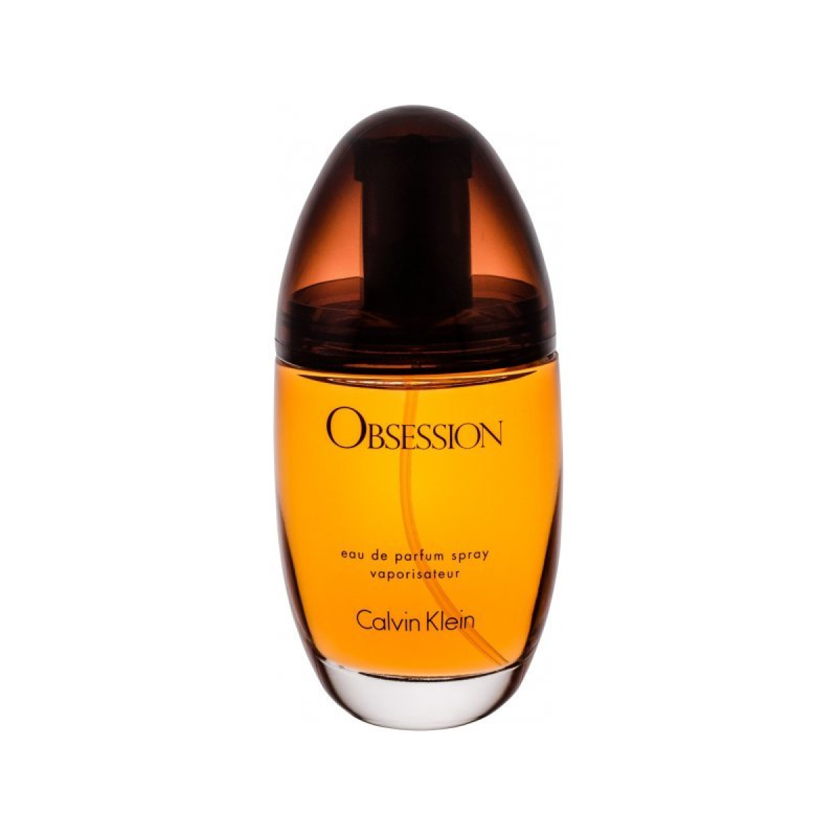 Calvin Klein Obsession Eau de Parfum Spray 100ml (EDP)