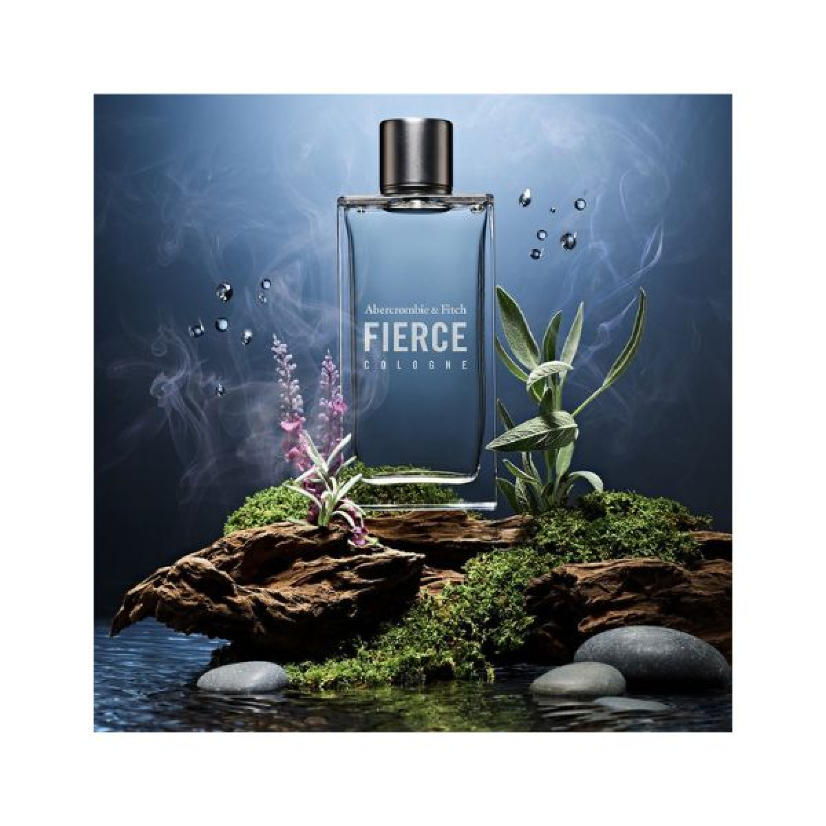 Abercrombie & Fitch Fierce Eau De Cologne Spray 50ml