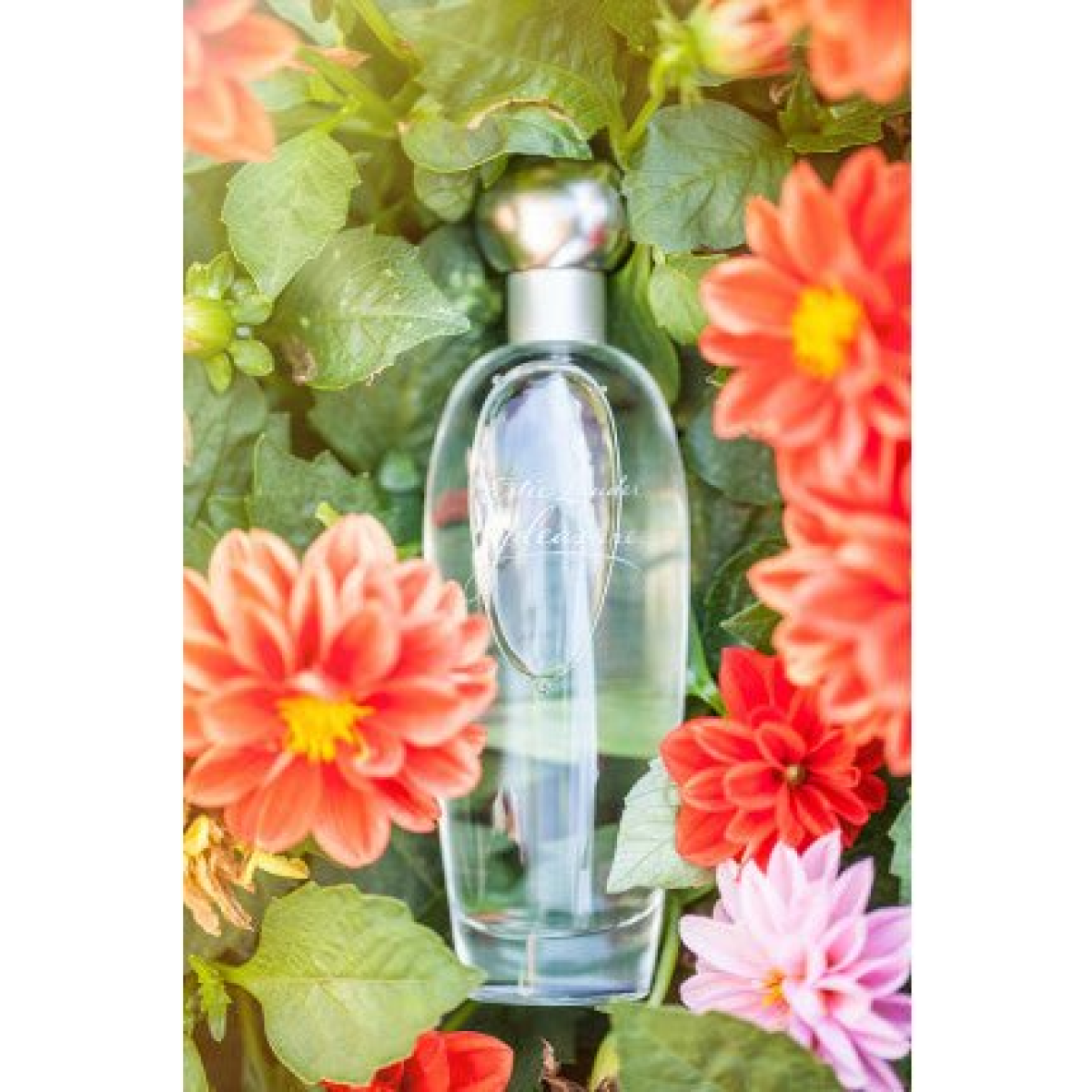 Estee Lauder Pleasures Eau de Parfum Spray 50ml