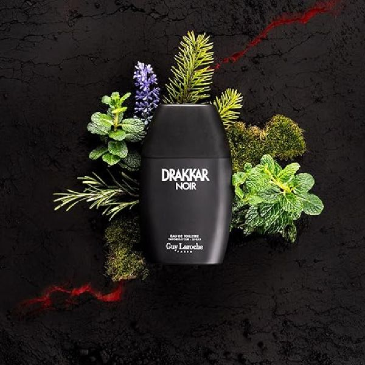 Guy Laroche Drakkar Noir Men Eau De Toilette 200ml (EDT)