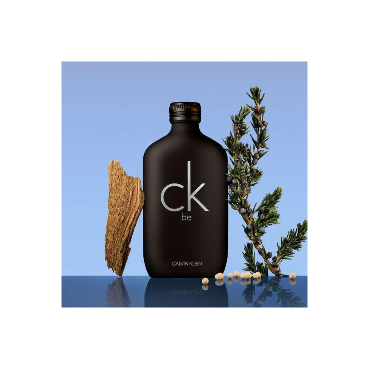 Calvin Klein CK BE Eau De Toilette Spray 200ml - Fresh, Bold Fragrance