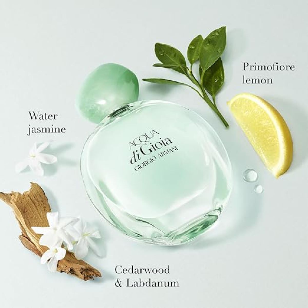 Armani Mini Gift Set: Acqua Di Gio EDT 5ml & Acqua Di Gioia EDP 5ml (HTML)