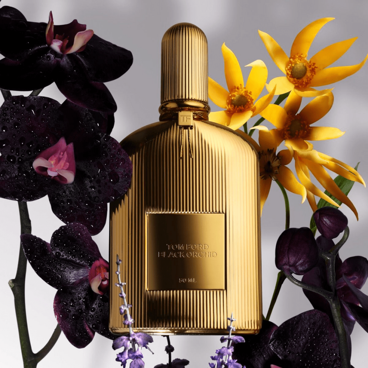 Tom Ford Black Orchid Parfum Spray 50ml