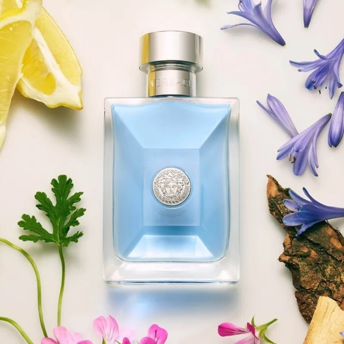 Versace Pour Homme Eau de Toilette 50ml – HTML Description