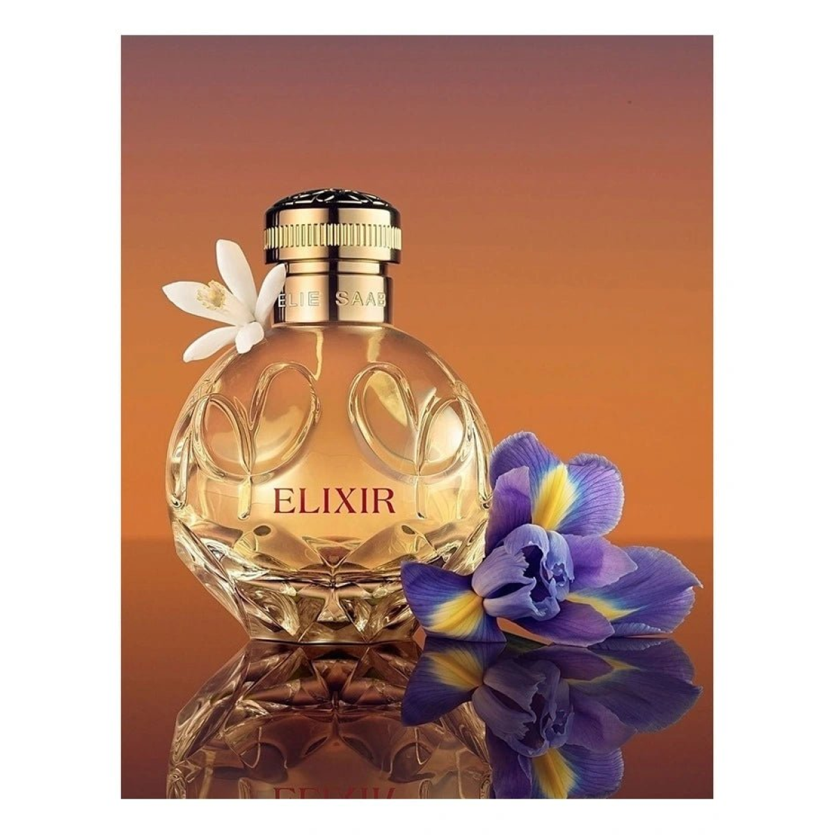Elie Saab Elixir Eau de Parfum Spray 30ml - Luxurious Fragrance for Women (HTML)