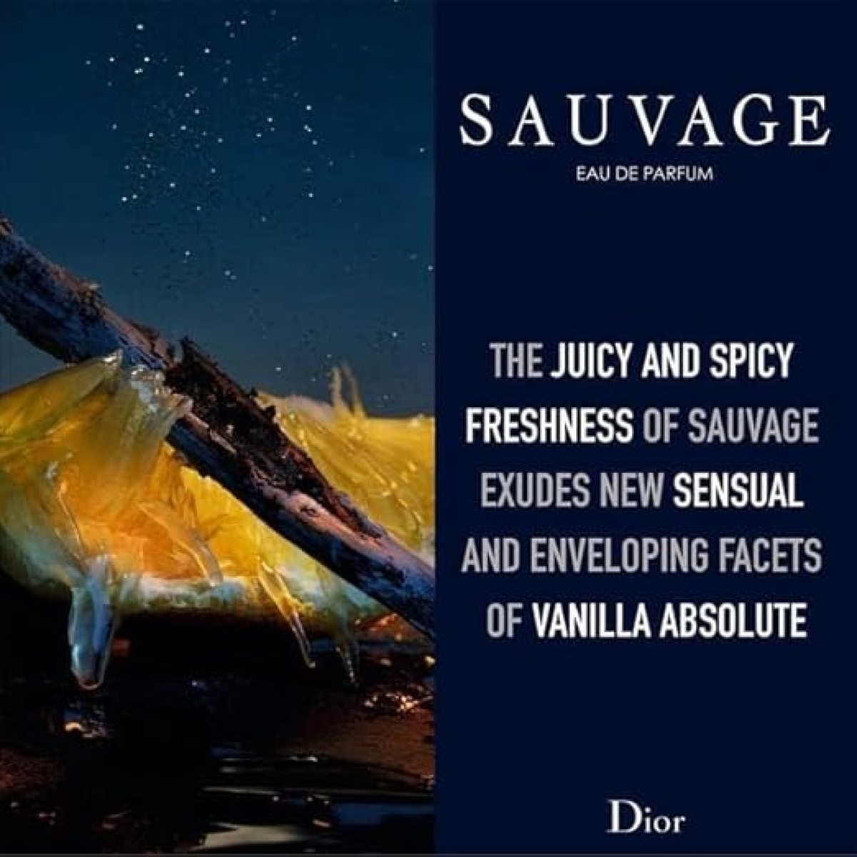 Dior Sauvage Parfum by Dior 100ml — Eau de Parfum Spray (HTML)