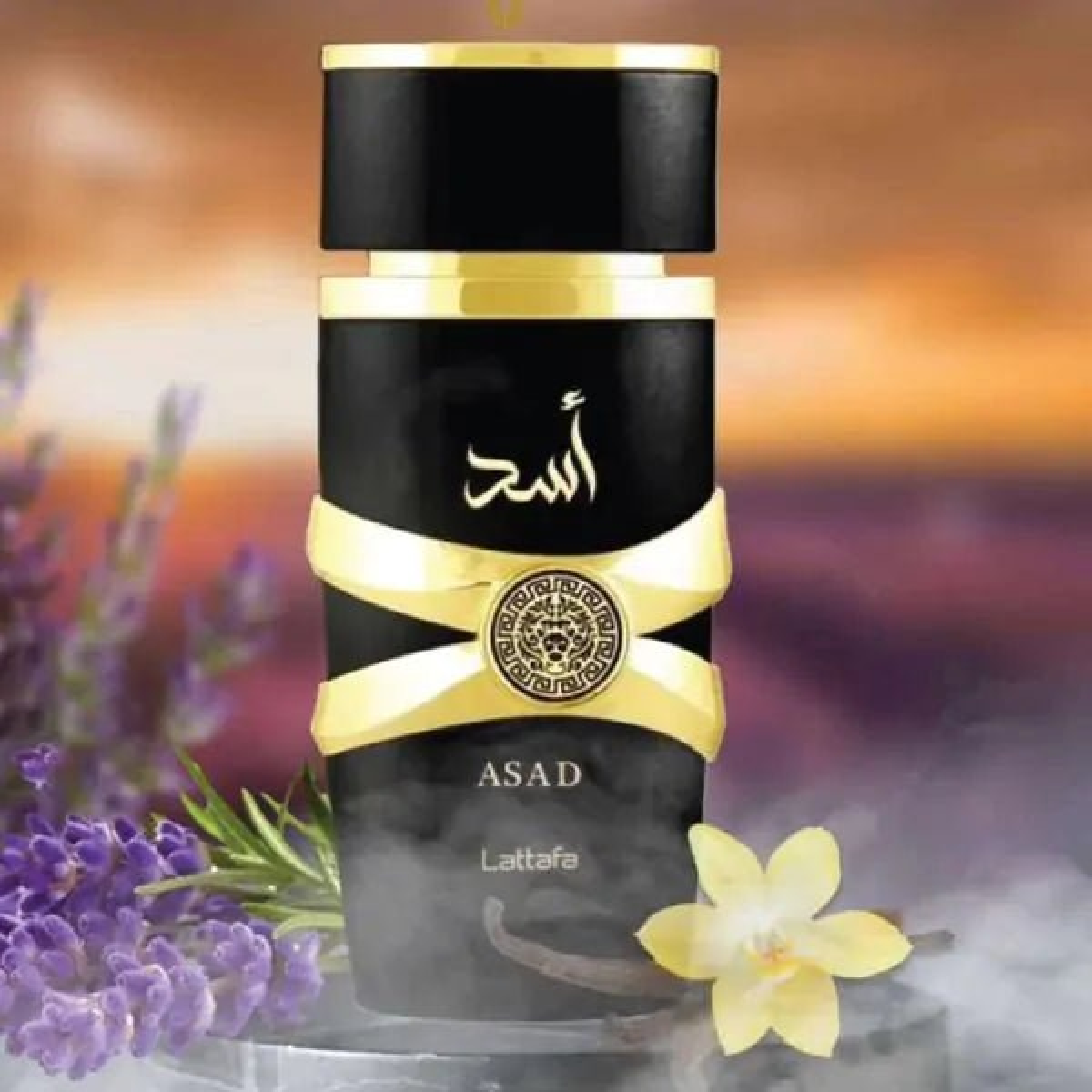 Lattafa Asad Eau de Parfum Spray 100ml – Premium Fragrance for Men (HTML)