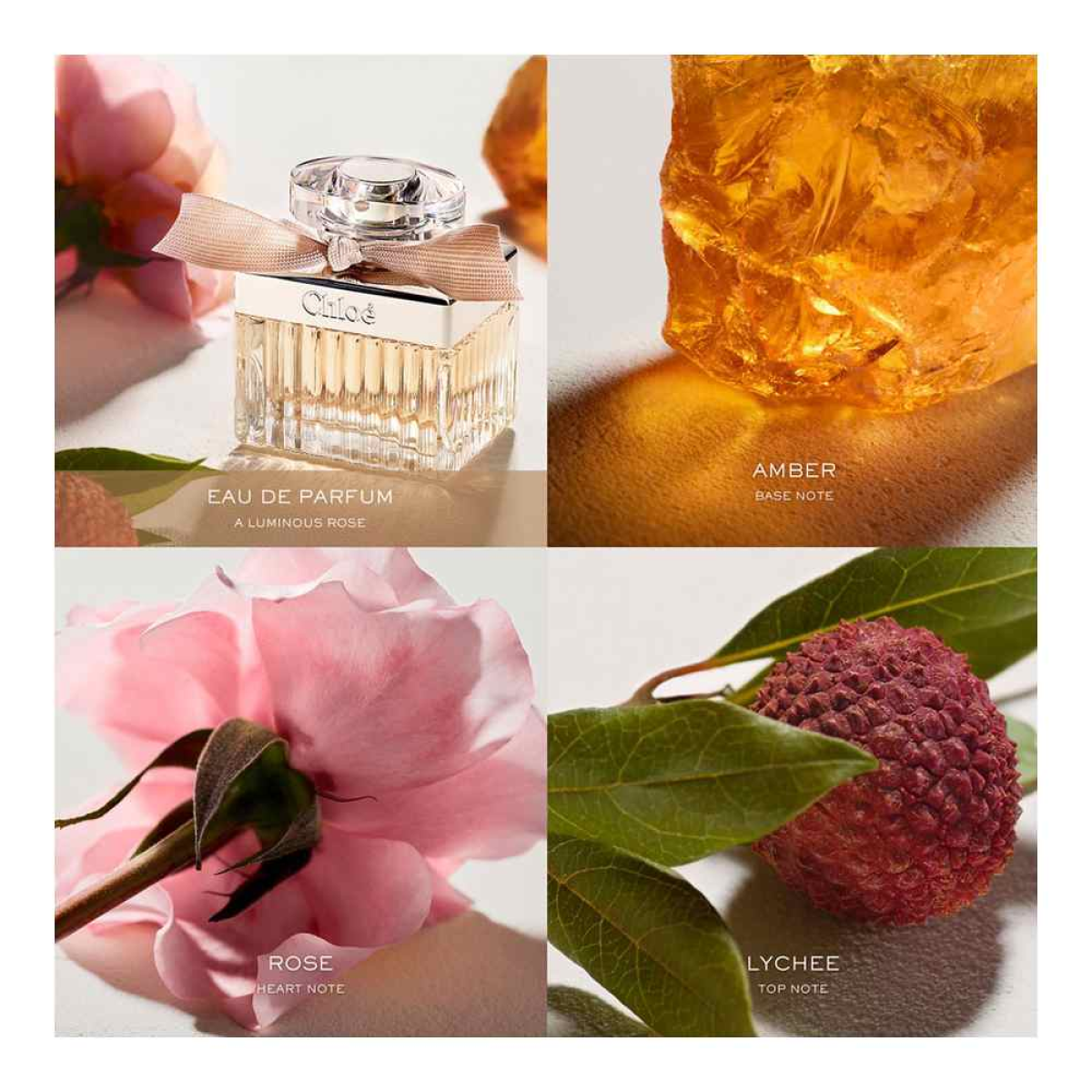 Chloé Signature Eau De Parfum Spray 75ml – Luxurious Floral Fragrance