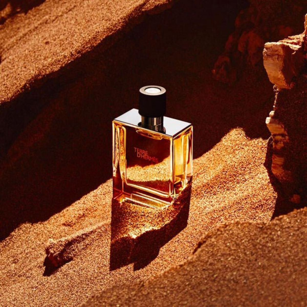 Hermès Terre d’Hermès Eau de Toilette Spray 50ml - Fresh Men's Fragrance HTML