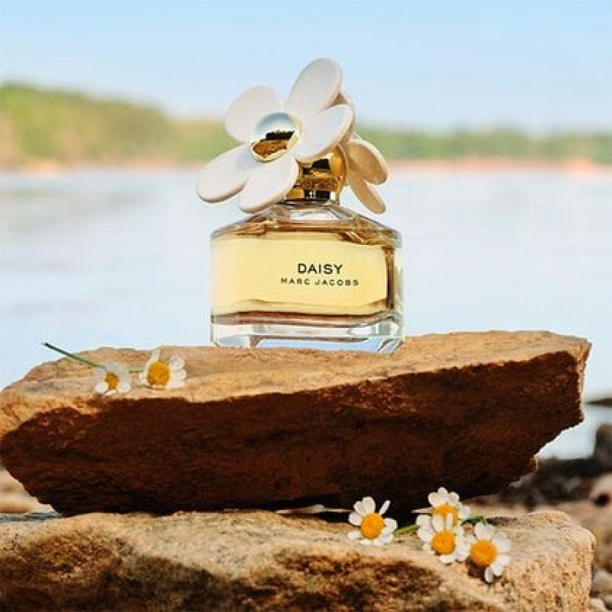 Marc Jacobs Daisy Eau de Toilette Spray 200ml – Fresh Floral Fragrance (HTML)
