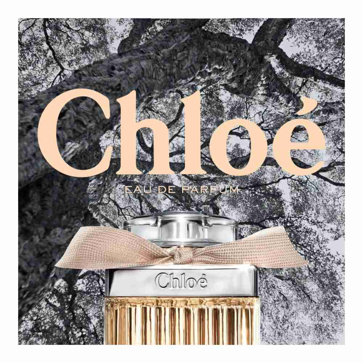 Chloé Signature Eau De Parfum Spray 75ml – Luxurious Floral Fragrance