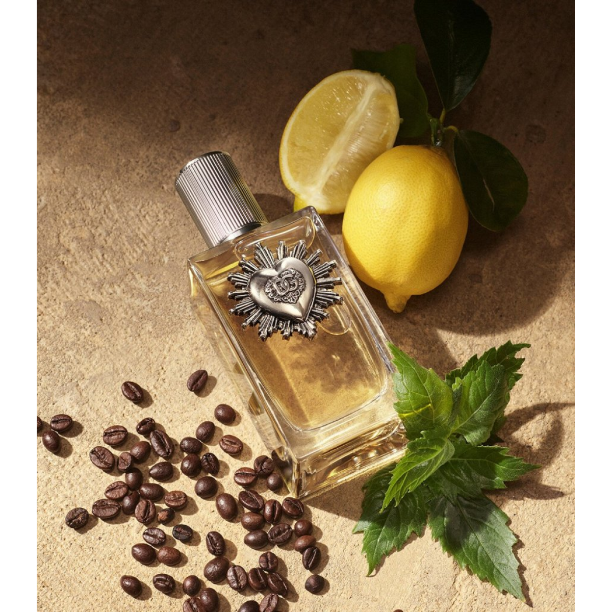 Dolce & Gabbana Devotion Pour Homme Eau de Parfum Spray 50ml (HTML)