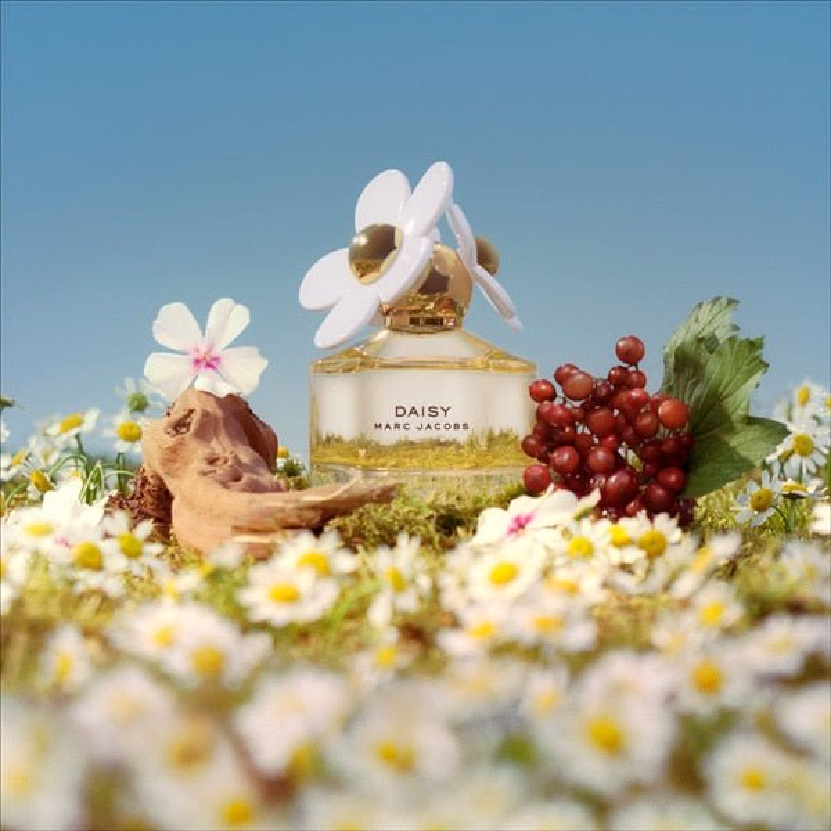 Marc Jacobs Daisy Eau de Toilette Spray 200ml – Fresh Floral Fragrance (HTML)