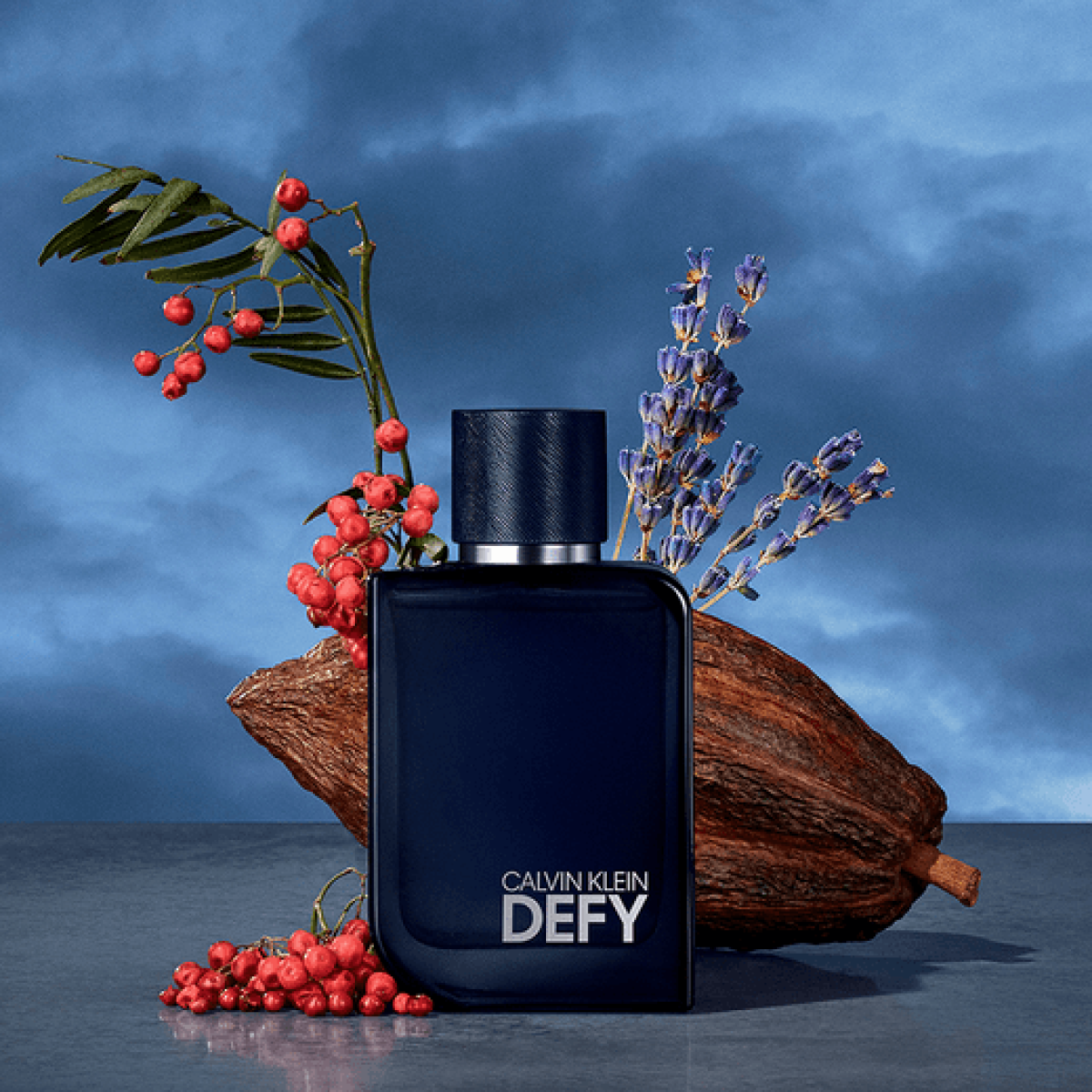 Calvin Klein Defy Eau de Parfum Spray 100ml