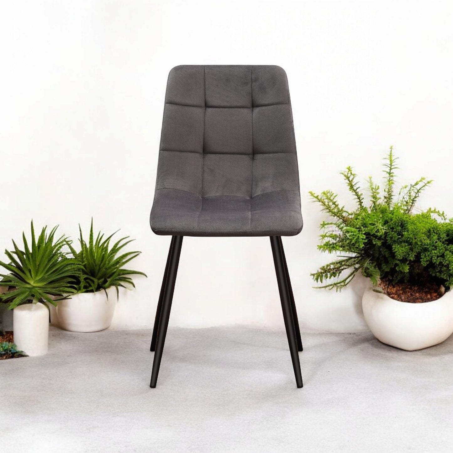 Modern & Stylish Velvet Cushion Padded Fabric Chair with Black Metal Legs – Comfortable Upholstery with Strong Frame Perfect for Living Rooms, Dining Areas, Offices, & Lounges (Grey Velvet)