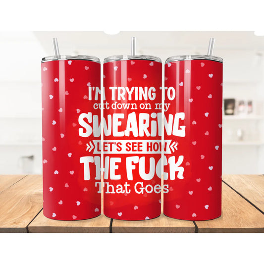Cheeky Swearing tumbler (not for kids)