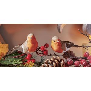 Robin Clips 2pk