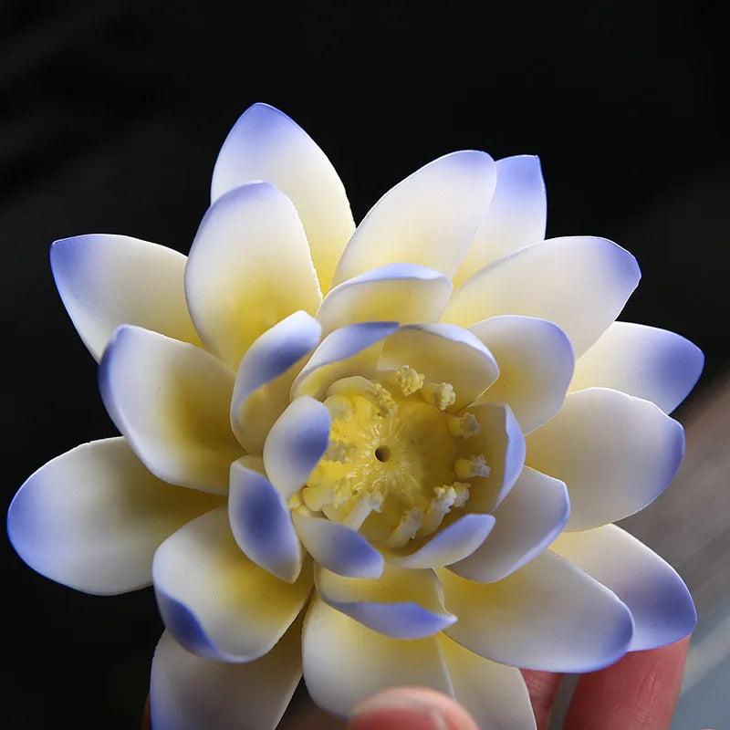 S1005002599735864_13.jpg