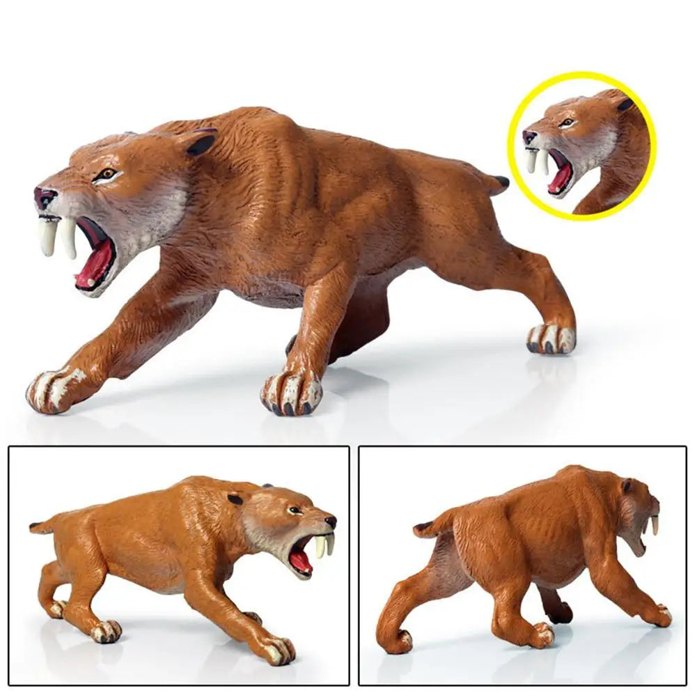 5.png