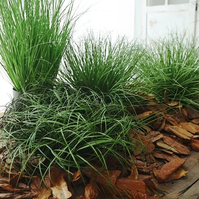 S1005004858270311_12.jpg