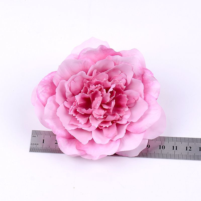 S1005006055627874_16.jpg