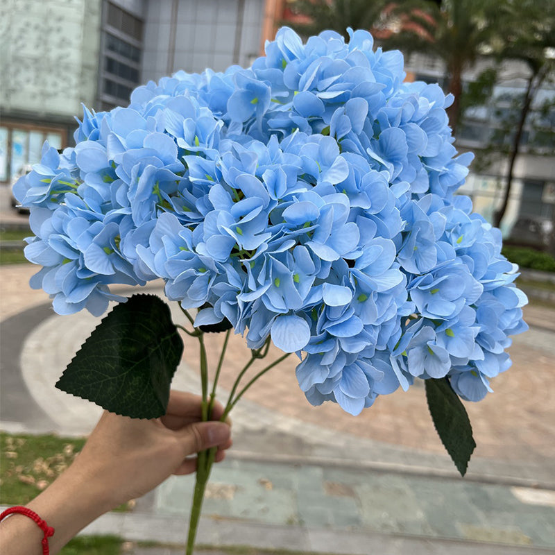 S1005006060490183_15.jpg