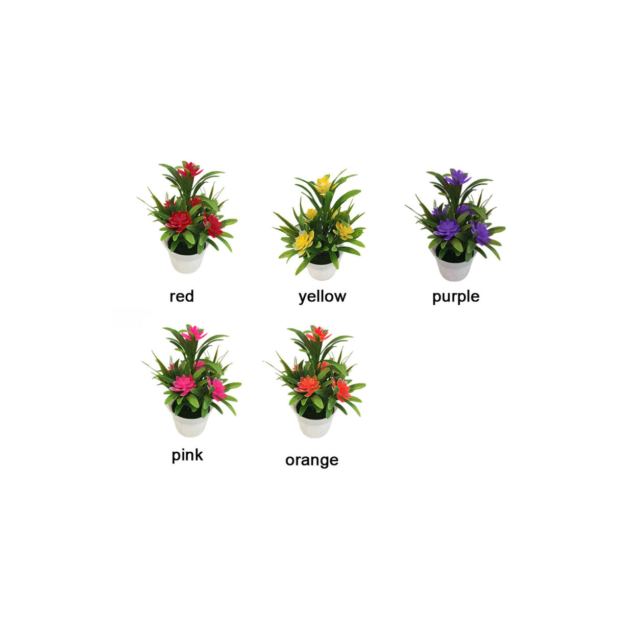 5.png