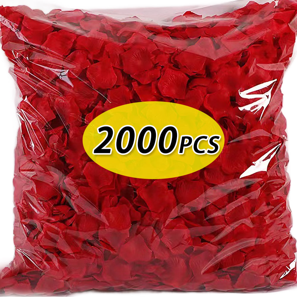 S1005006408667759_0.jpg