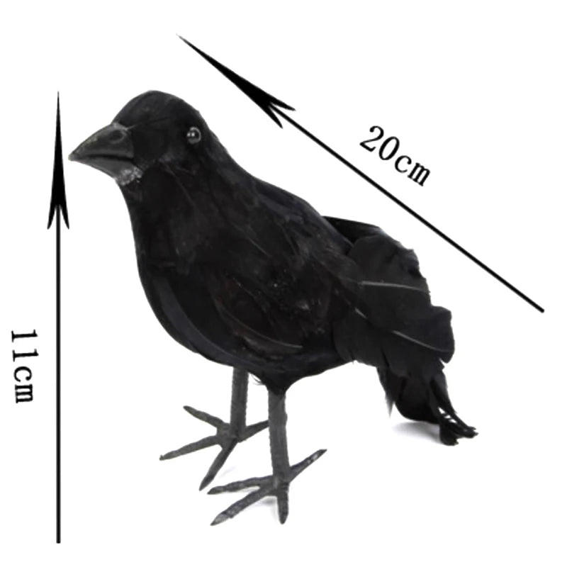 6.png