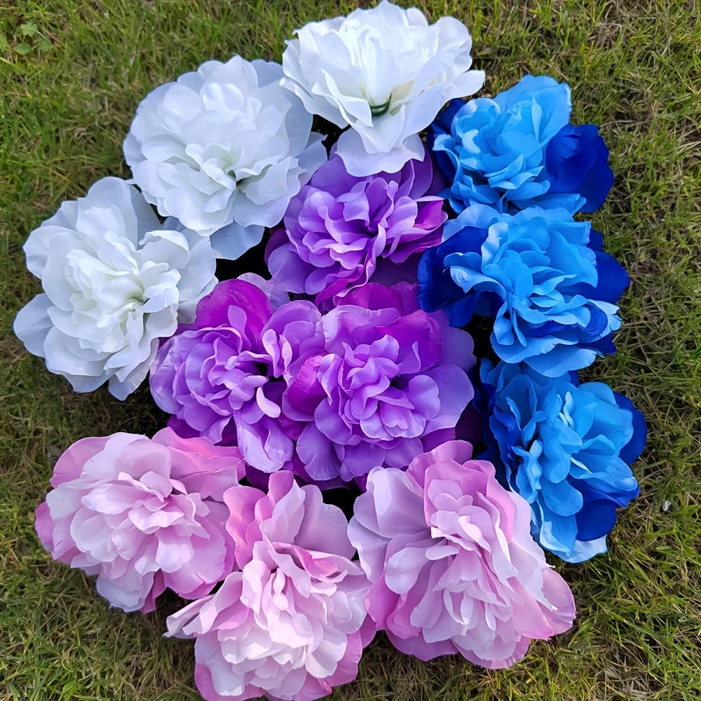 main.png