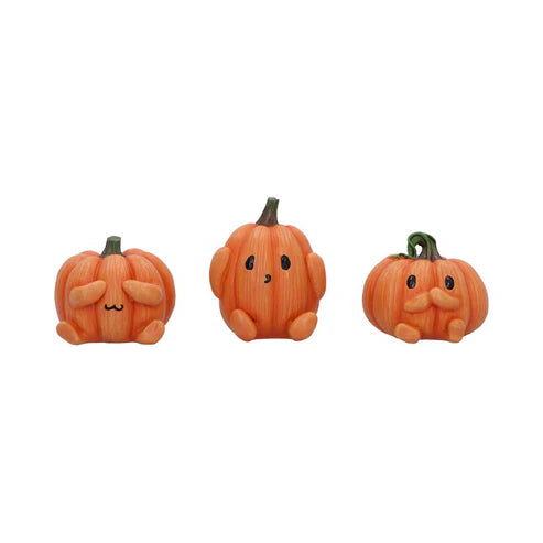 Three Wise Pumpkins