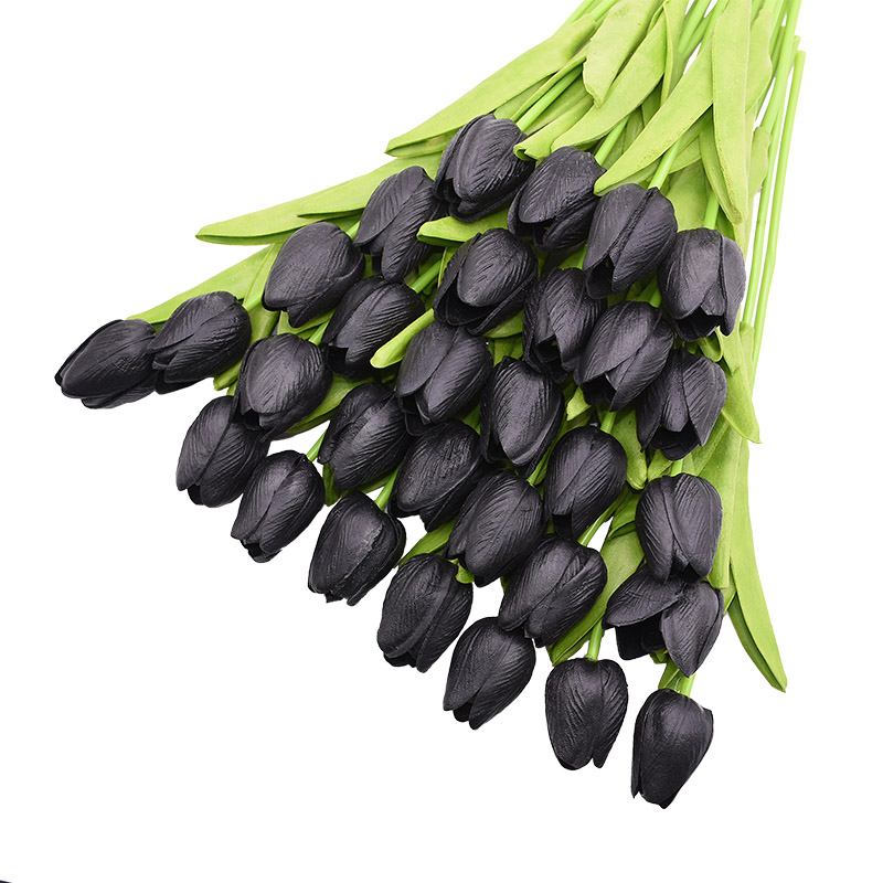 main.png