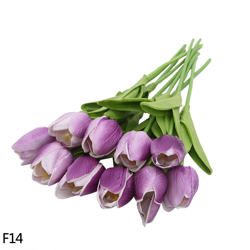V12000018872089973_0.jpg