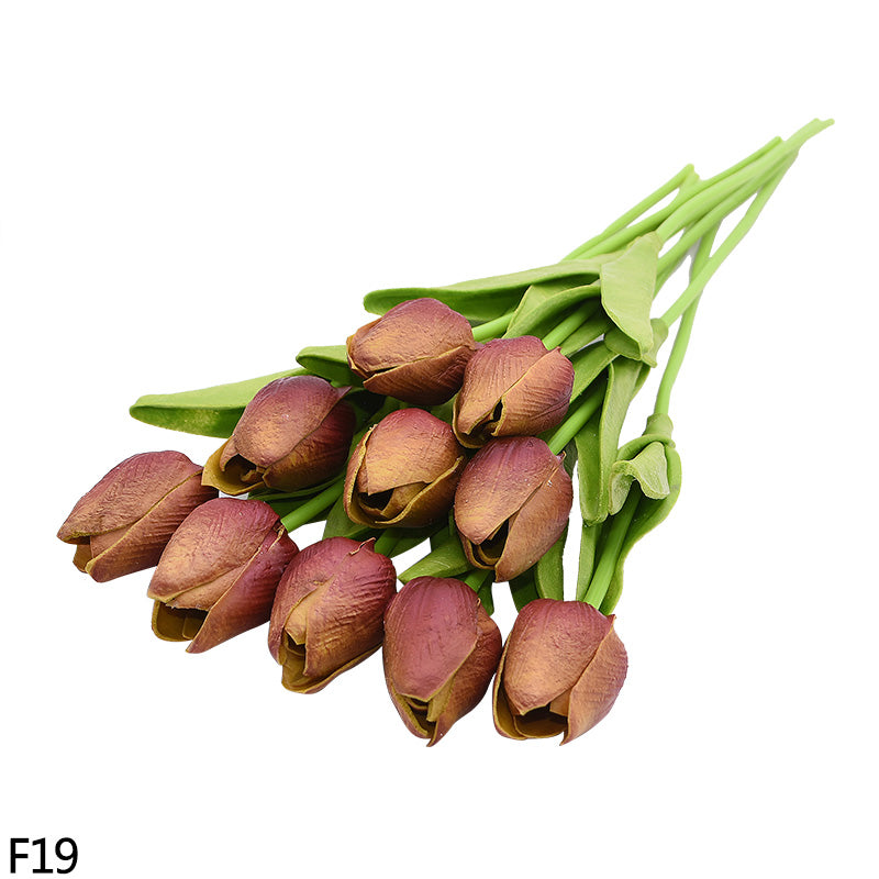 V12000018872089983_0.jpg