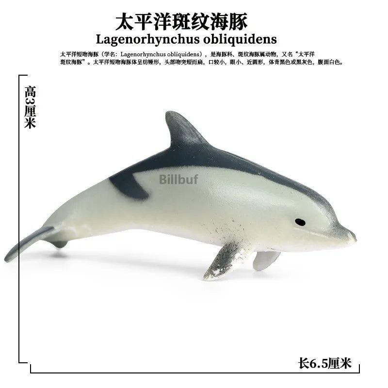 main.png