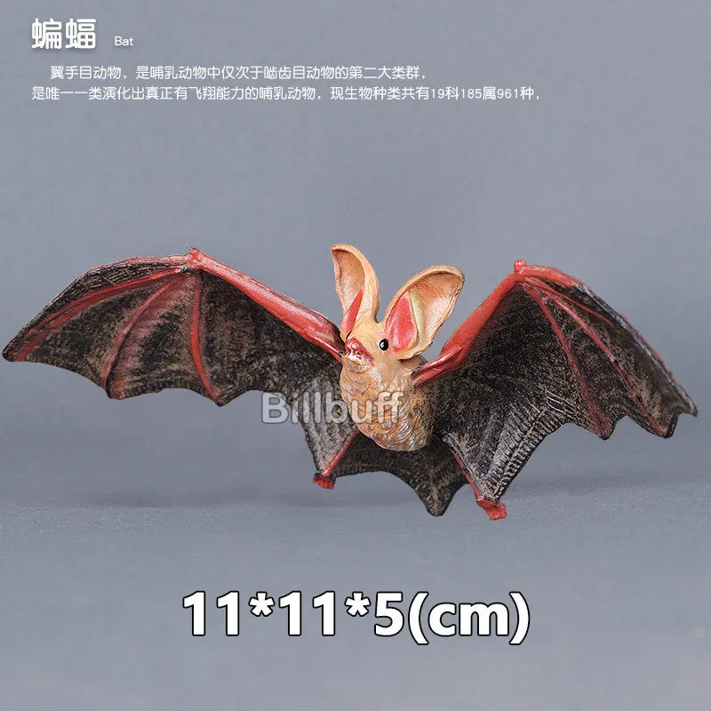 main.png