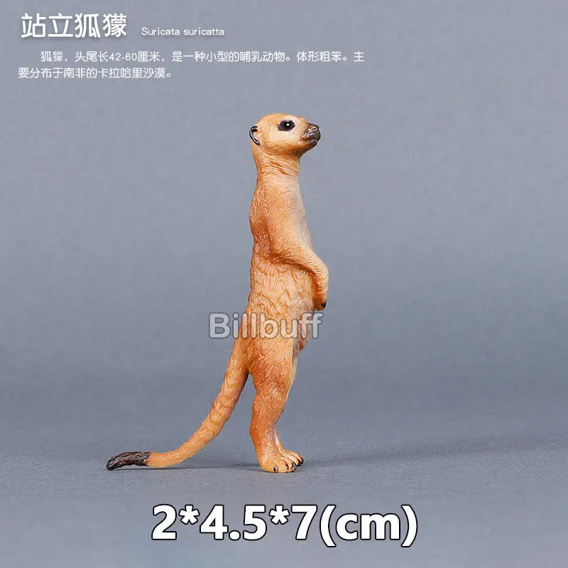 main.png