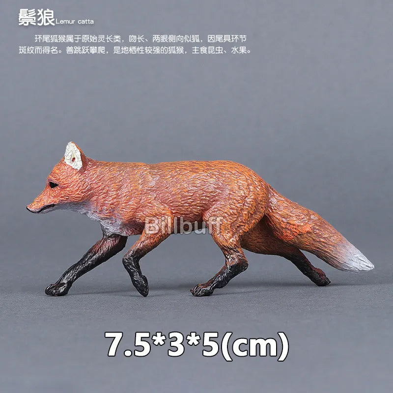 main.png