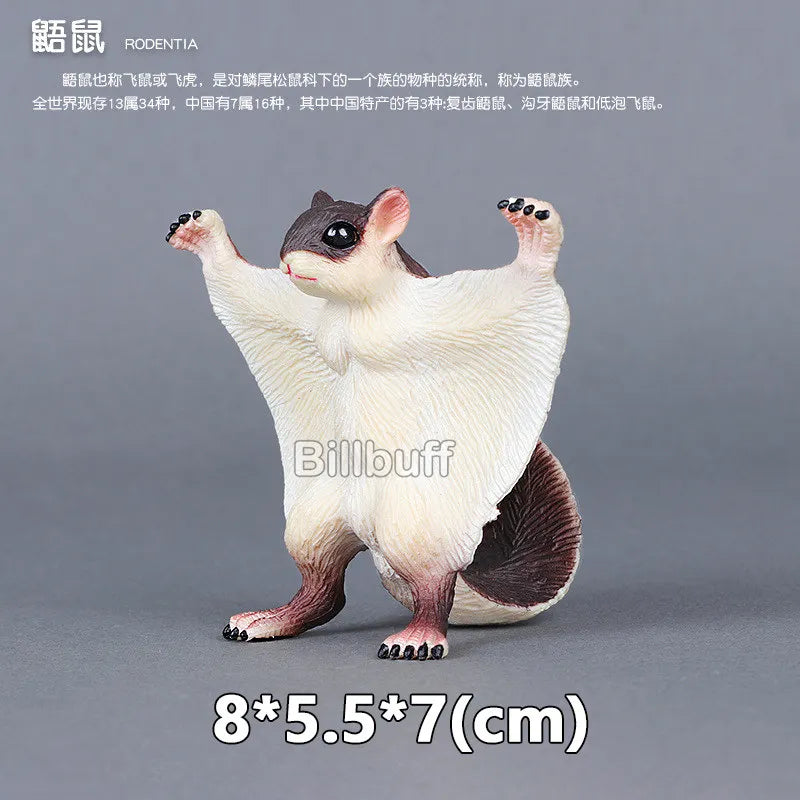 main.png