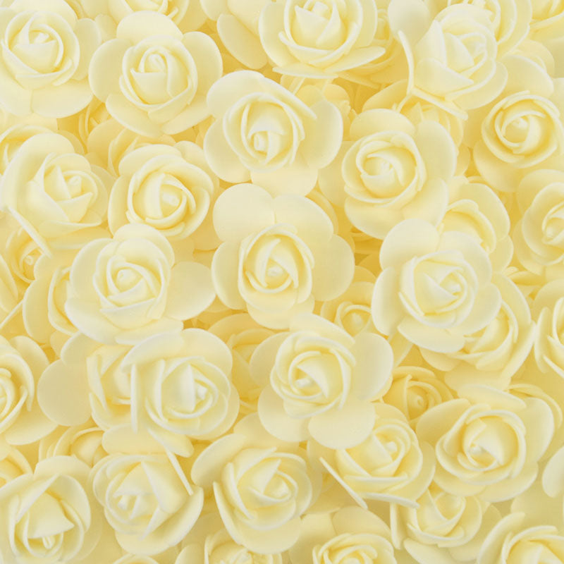 V12000026960859328_0.jpg