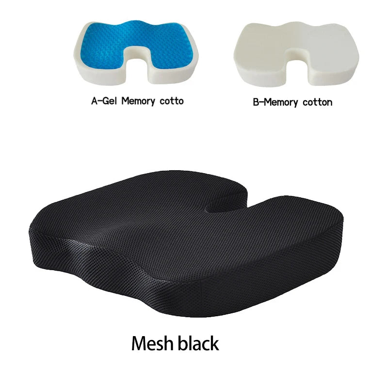 main.png