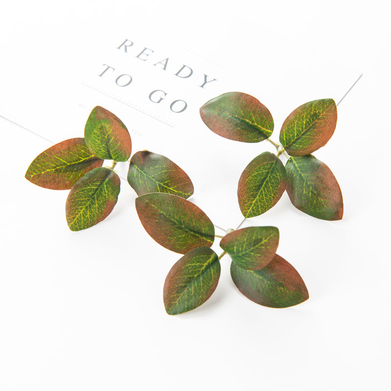V12000028876579230_0.jpg