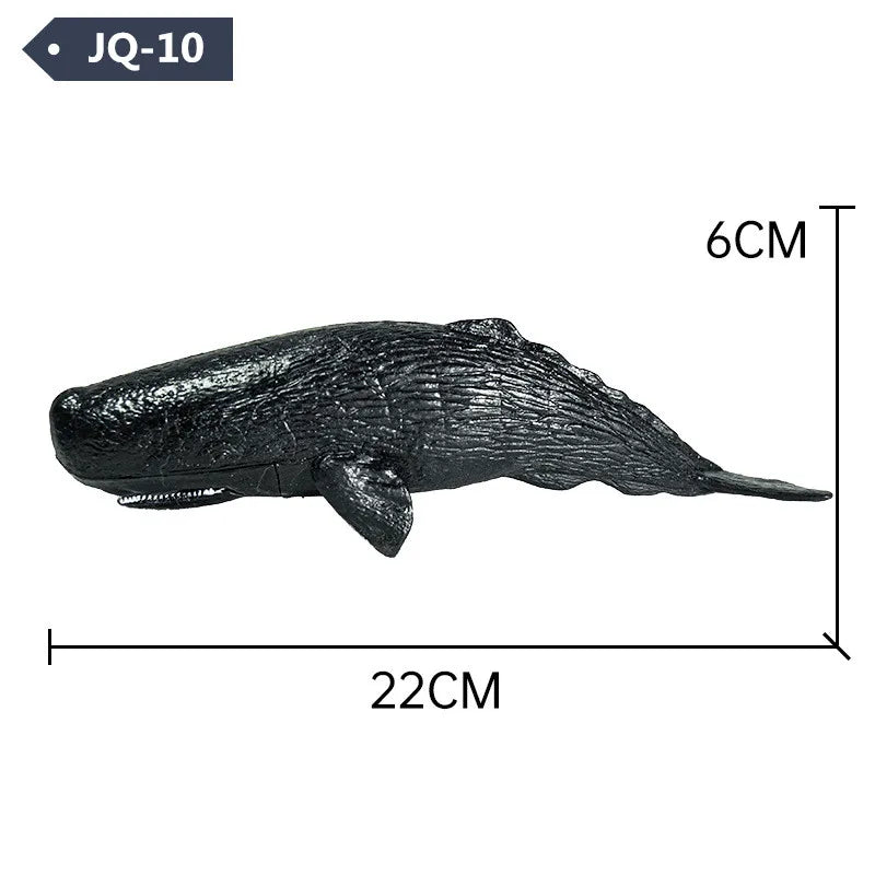 main.png