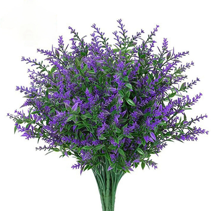 V12000032855897648_0.jpg